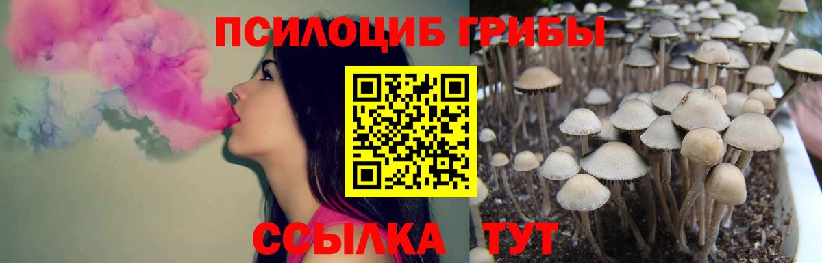 Псилоцибиновые грибы Psilocybe  Вход с VPN  Канаш  Галлюциногенные грибы Psilocybine cubensis 