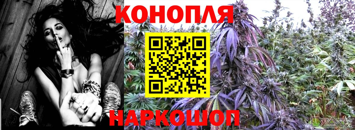 Марихуана гибрид  Вход с VPN  Бошки Шишки AK-47  Бошки марихуана AK-47  Канаш  Каннабис план 